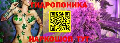 гашиш Канаш