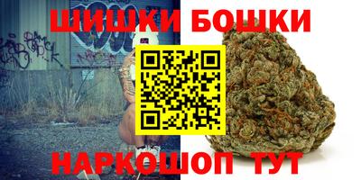 сатива Камышлов