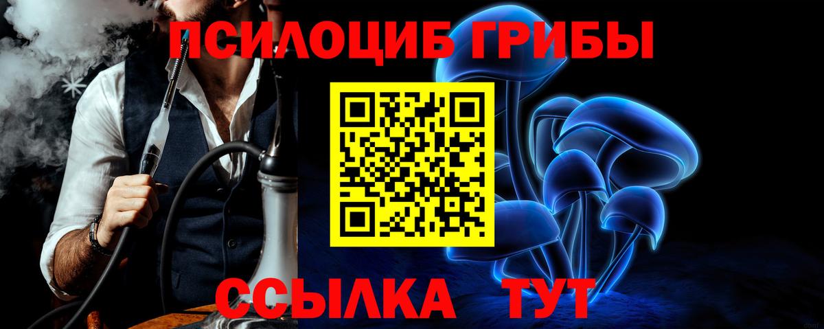 Южно-Сахалинск  Галлюциногенные грибы мицелий  Вход с VPN 